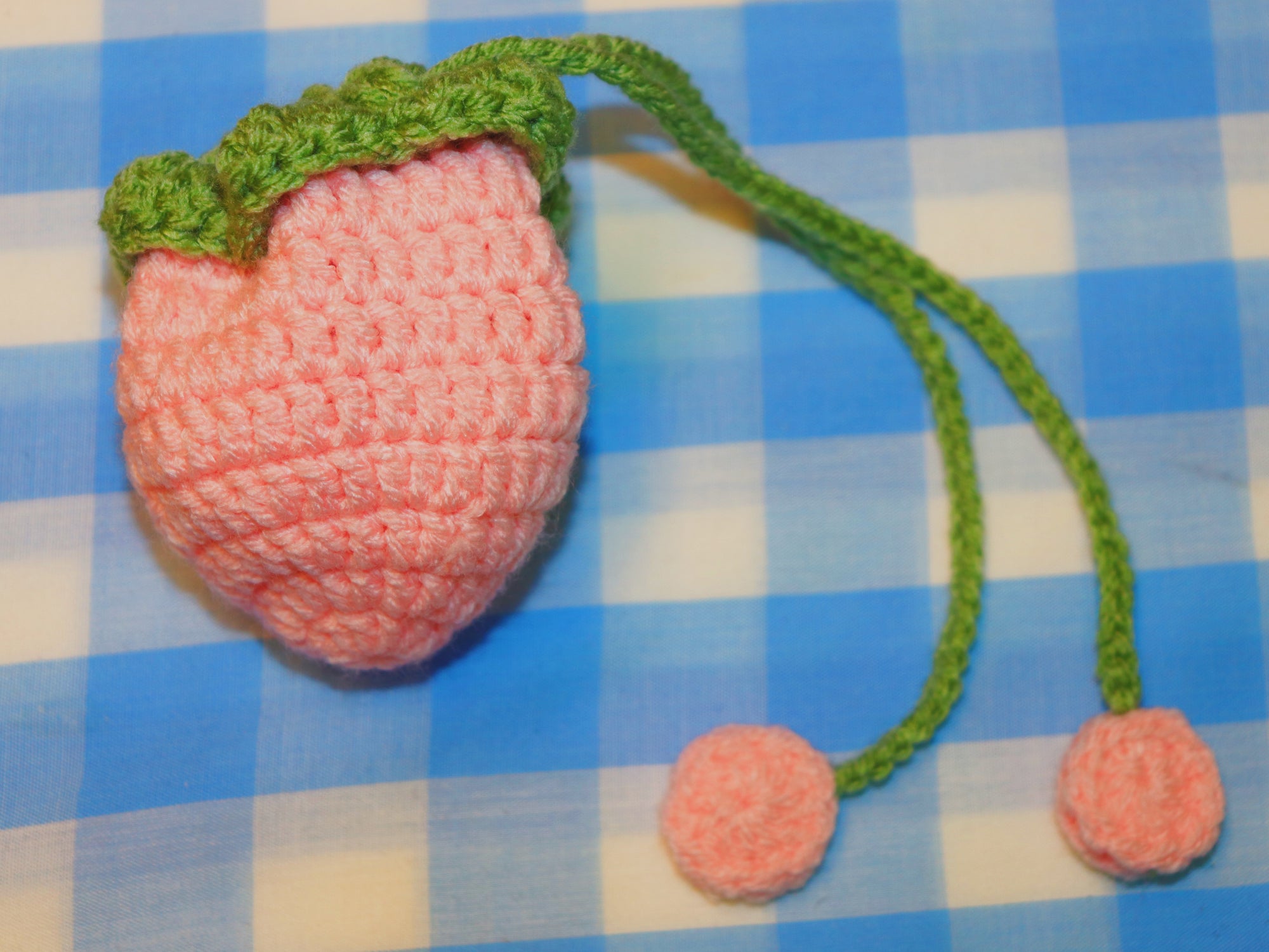 Sweet Berry Crochet Pouch