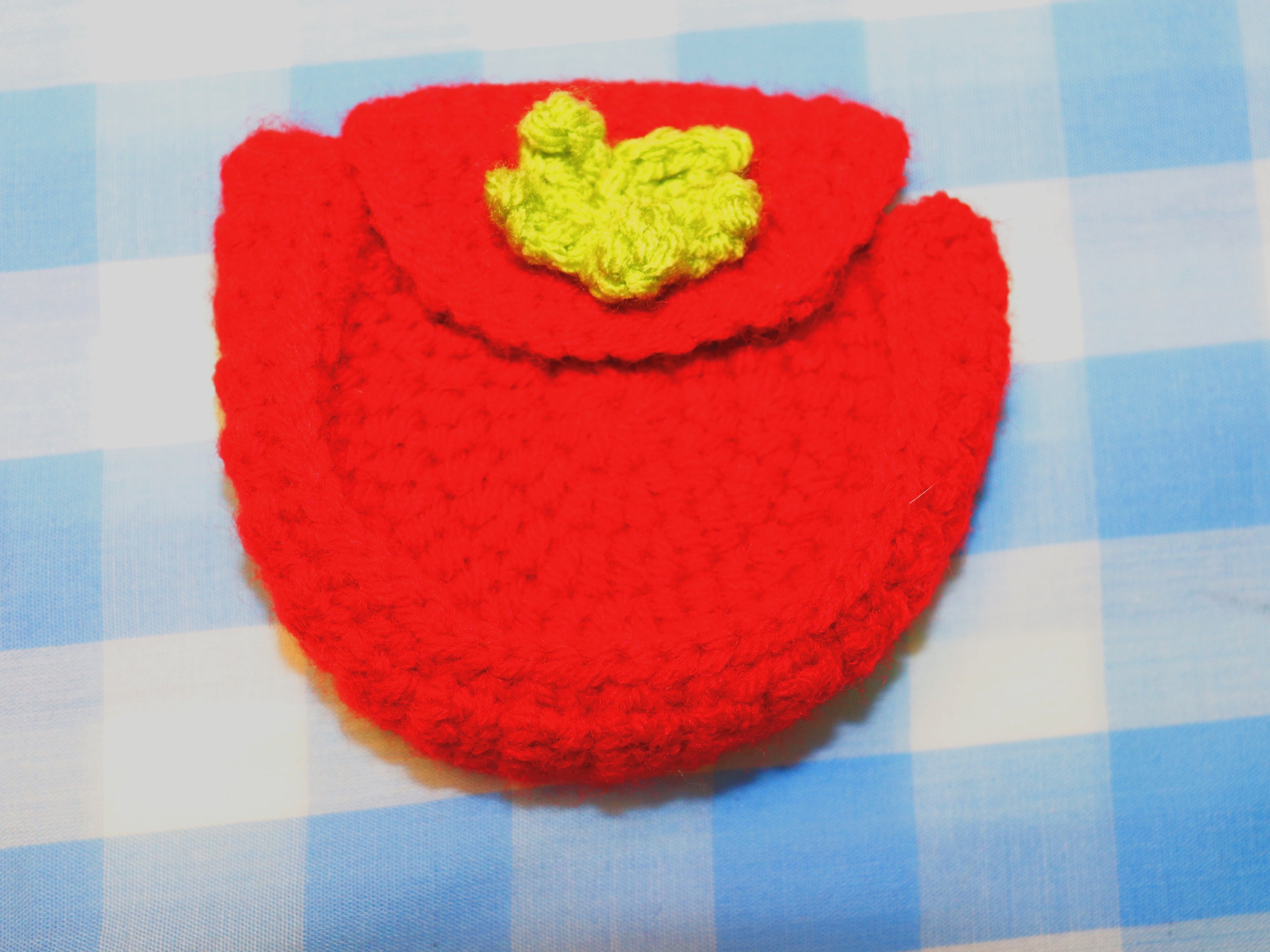 Tomato Delight Crochet pouch