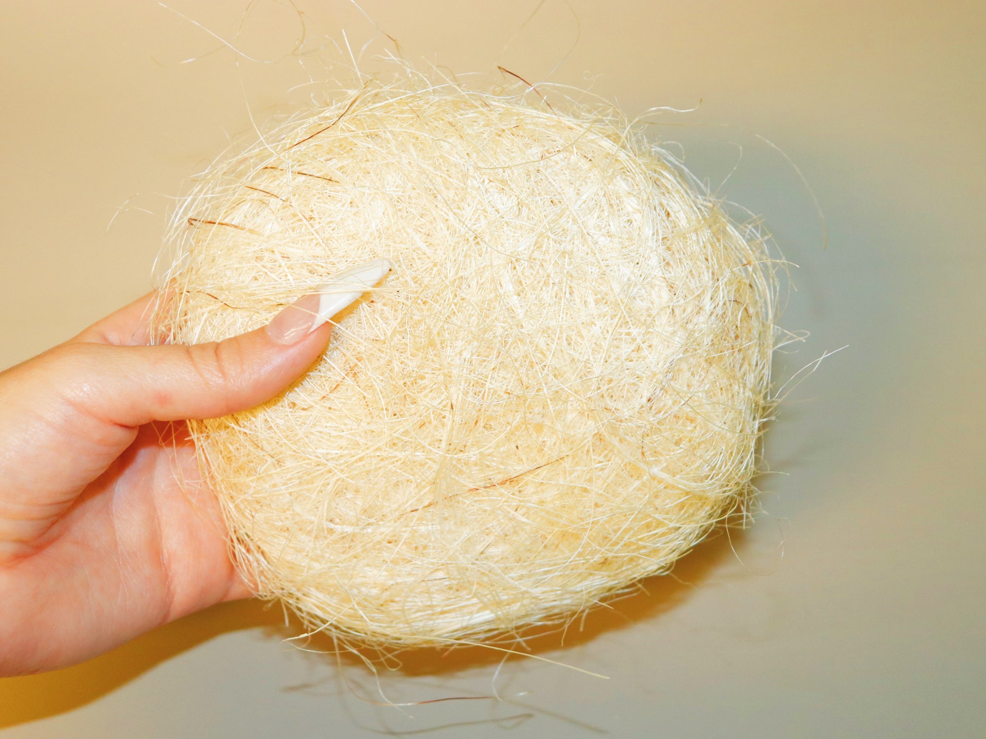 Natural Fiber Sponge