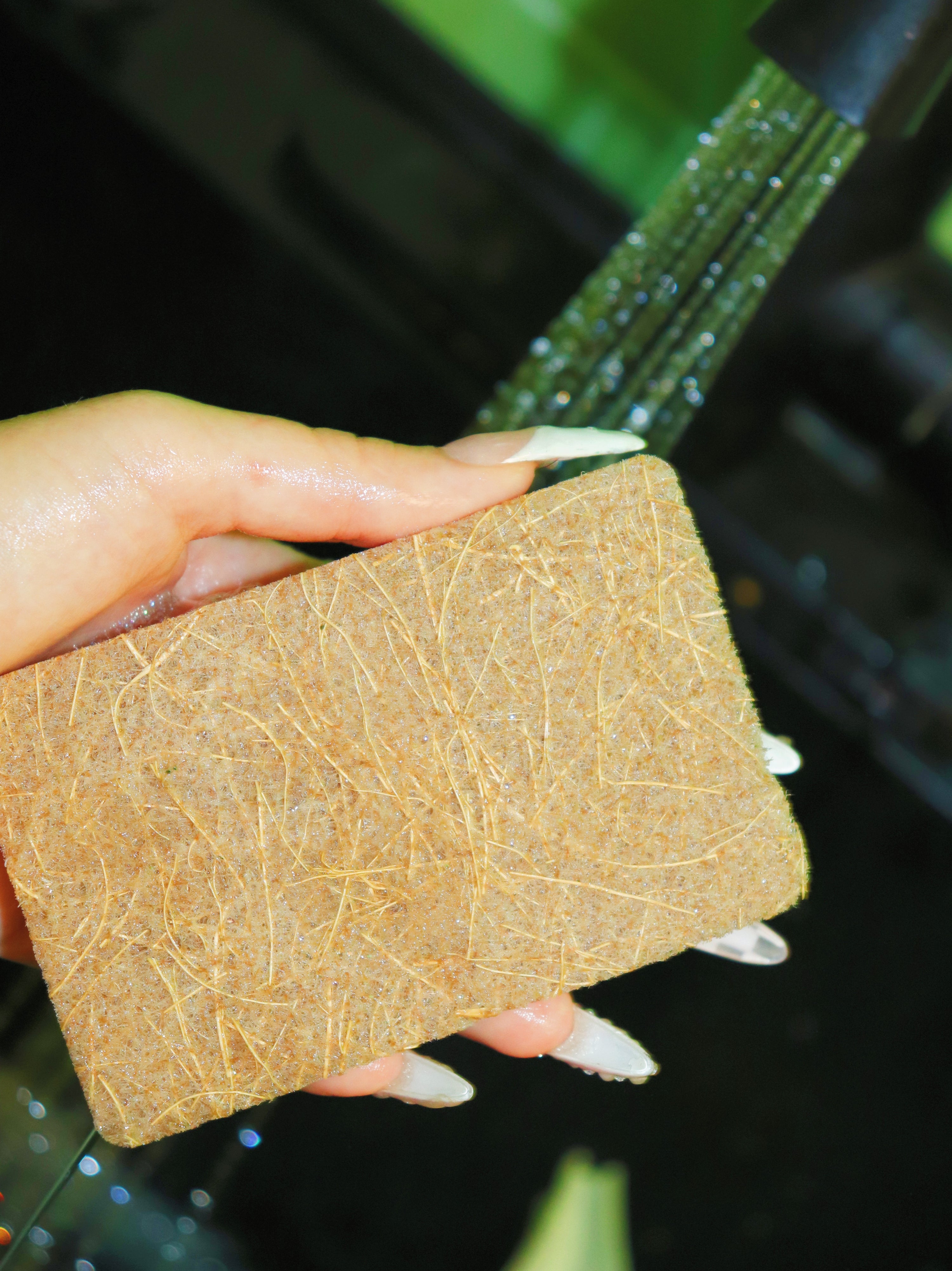 Natural Coconut Husk Sponge