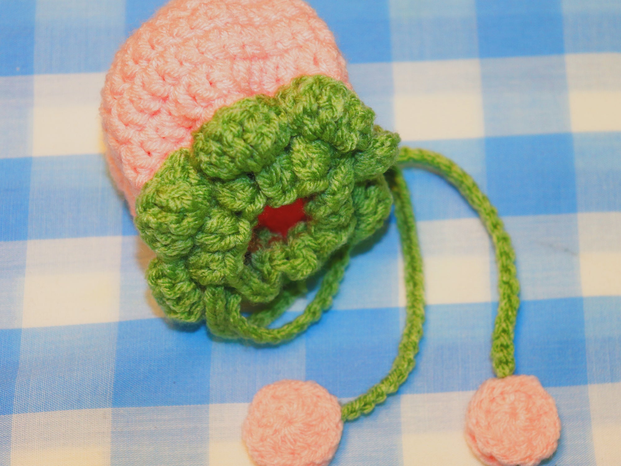 Sweet Berry Crochet Pouch