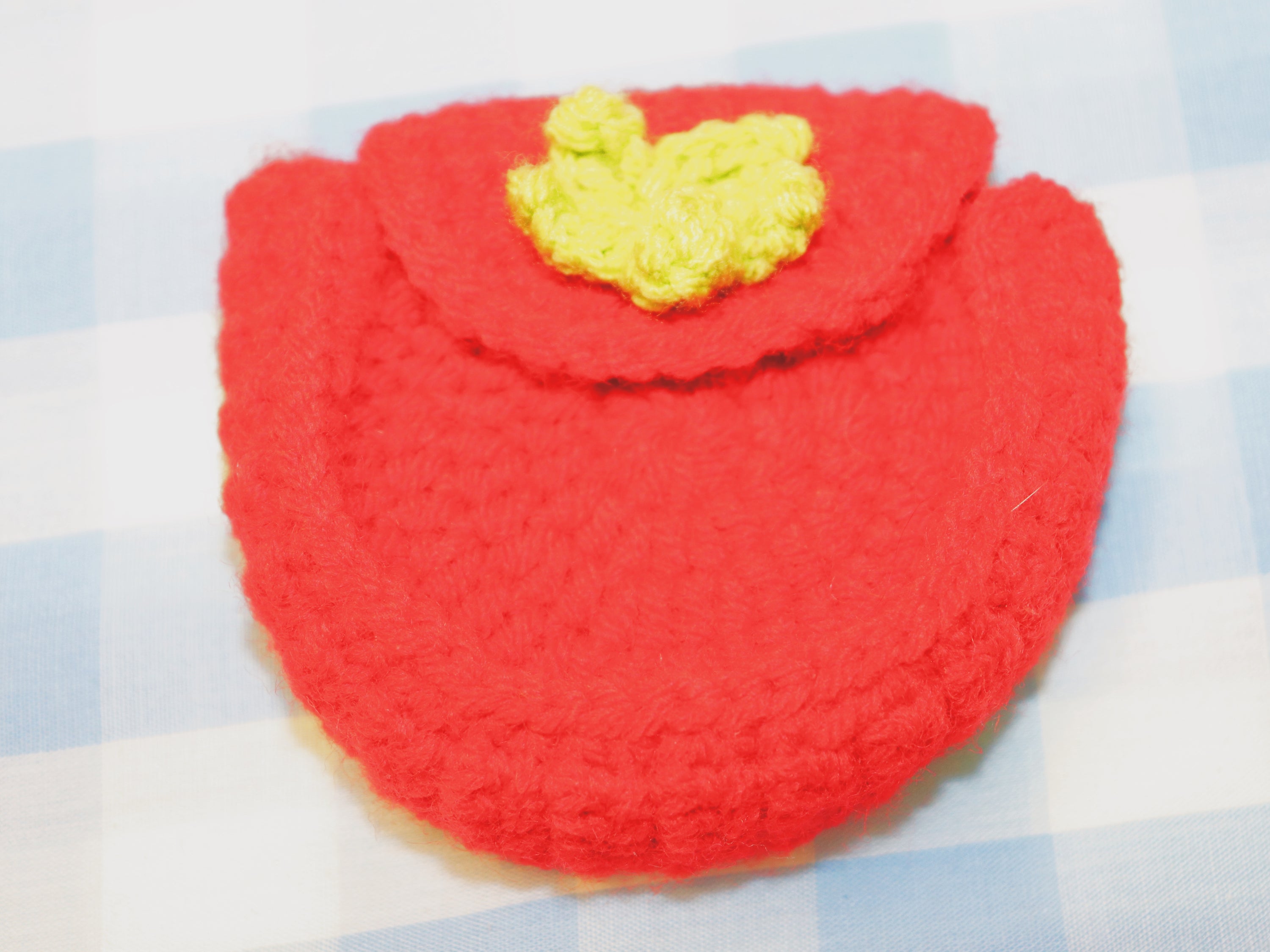 Tomato Delight Crochet pouch