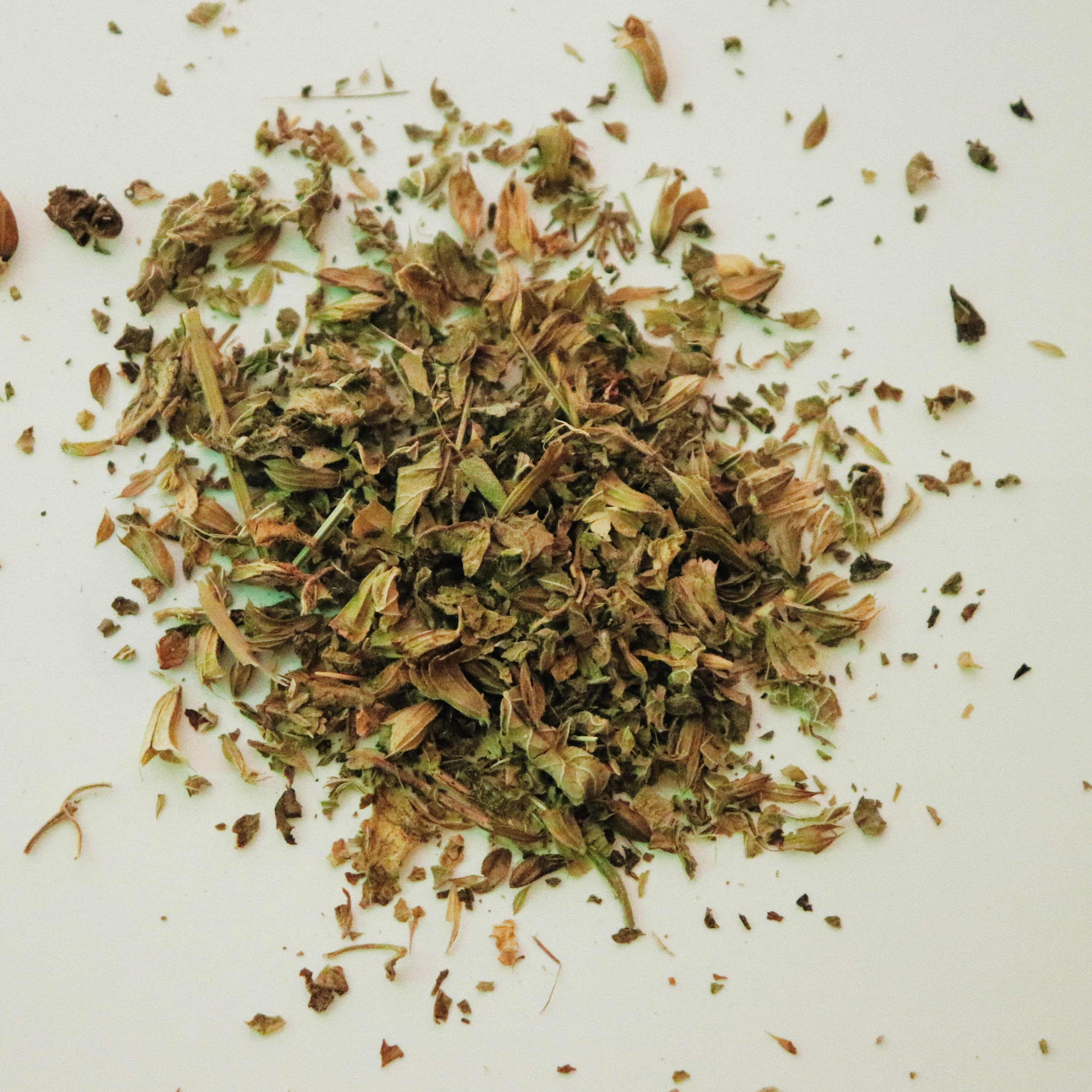 LEMON BALM LOOSE LEAF TEA BLEND