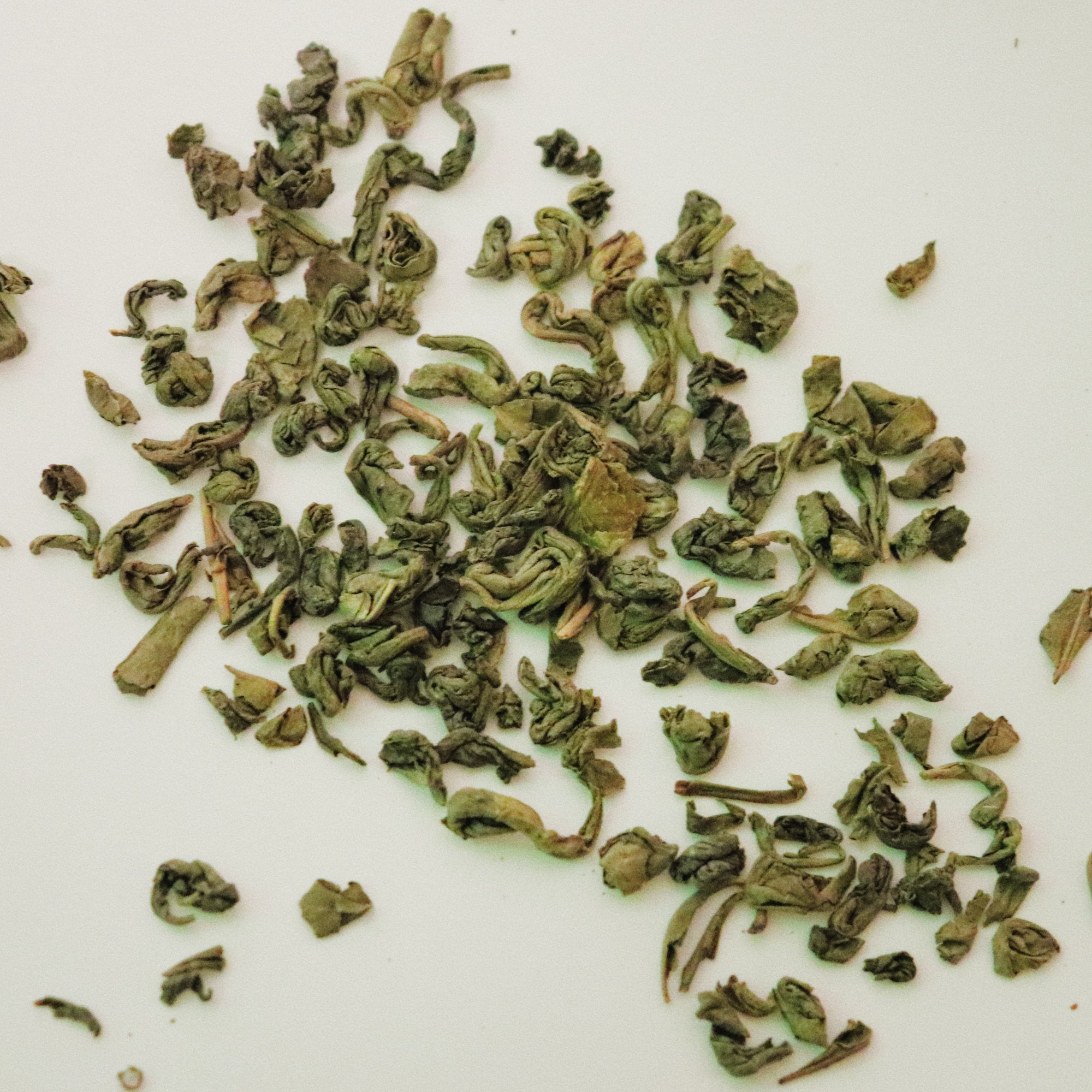 GUNPOWDER GREEN TEA LOOSE LEAF TEA BLEND